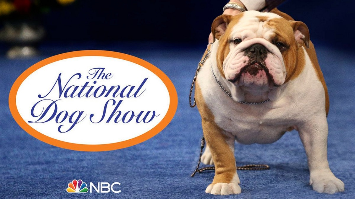 Watch!! National Dog Show 2022 Live Stream